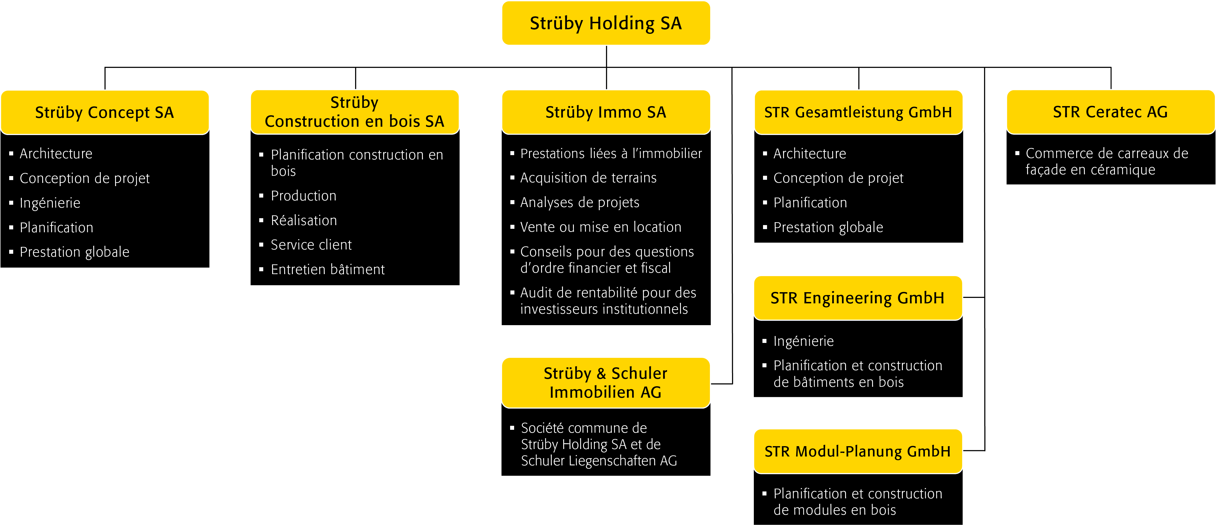 Strüby Holding Diagramm FR