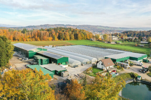 Pack- und Lagerhalle mit Remise, Gemüse Käser AG, Birmenstorf AG