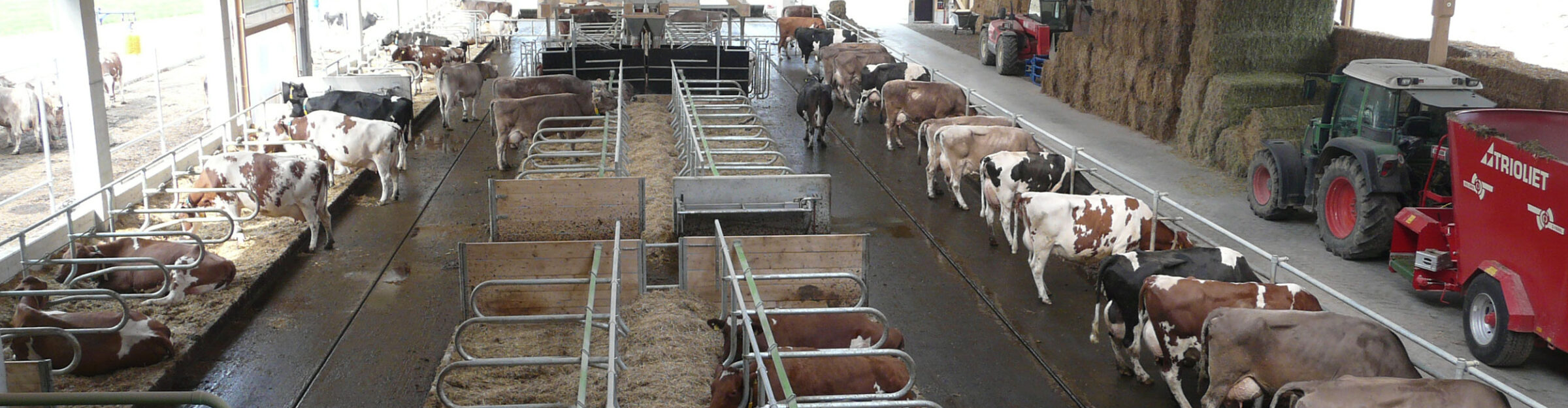 Laufstall, Hochfelden ZH