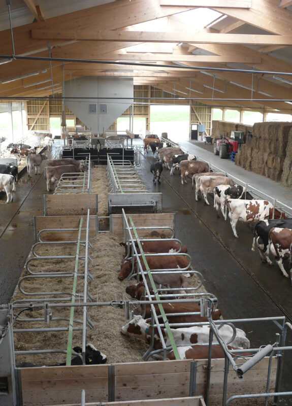 Laufstall, Hochfelden ZH