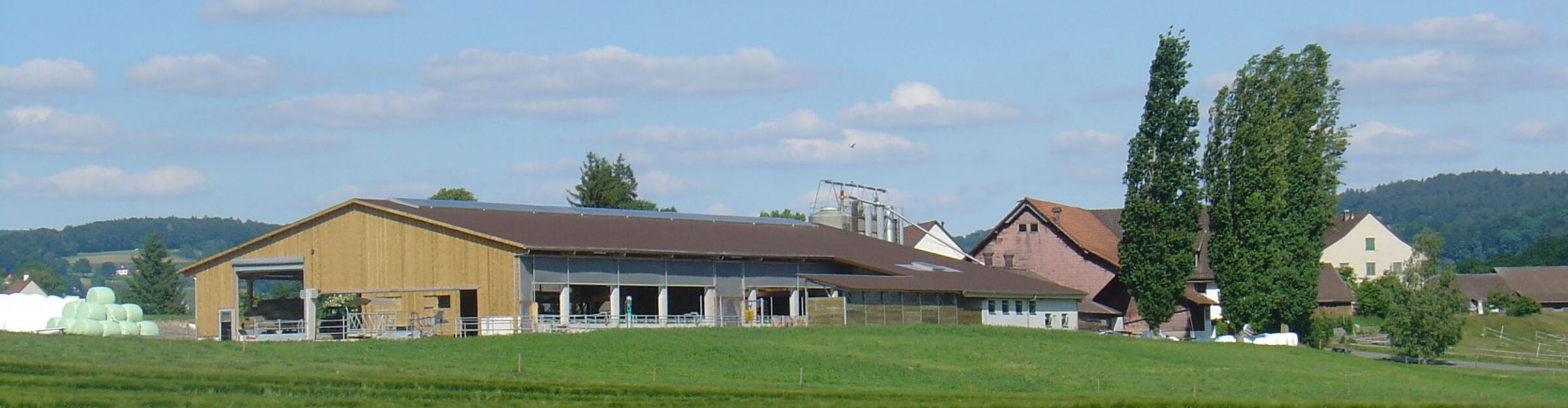 Laufstall, Hochfelden ZH