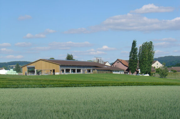 Laufstall, Hochfelden ZH