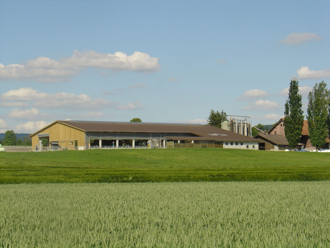 Laufstall, Hochfelden ZH, Landwirtschaft