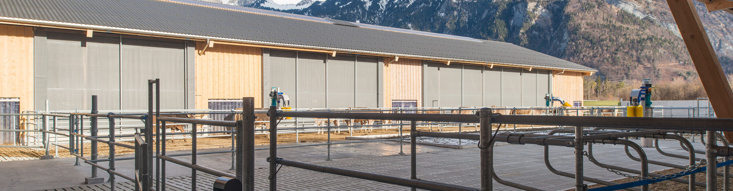 Grossviehstall. Landquart GR