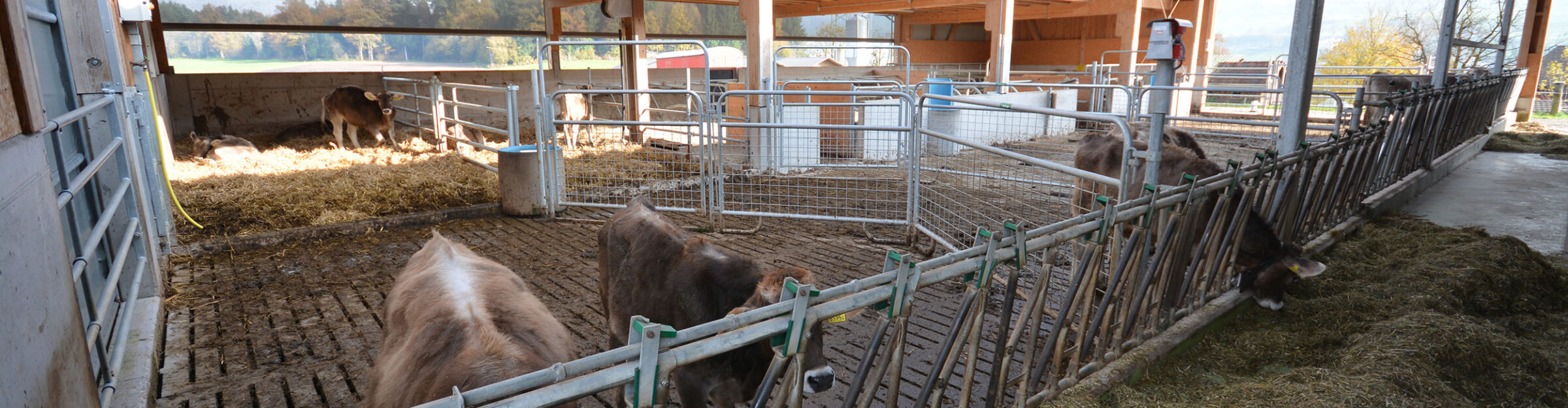 Aufzuchtstall mit Remise, Buchrain LU