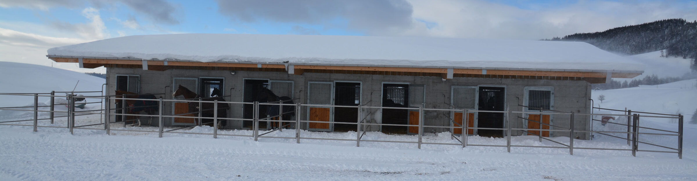 Pferdestall und Reitanlage, Alosen ZG