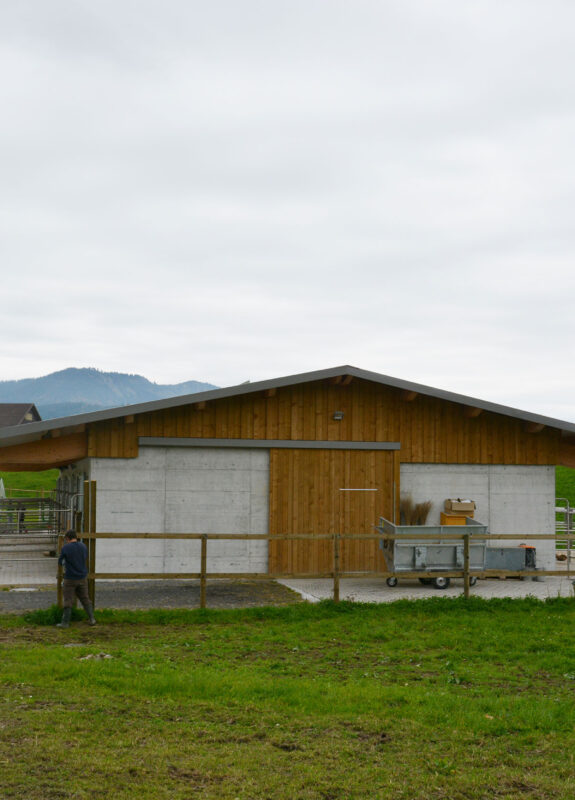 Pferdestall und Reitanlage, Alosen ZG