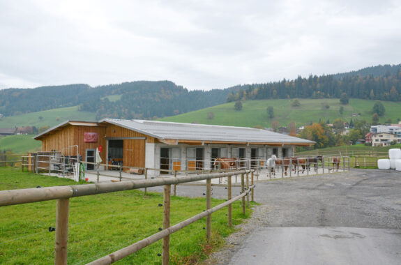 Pferdestall und Reitanlage, Alosen ZG