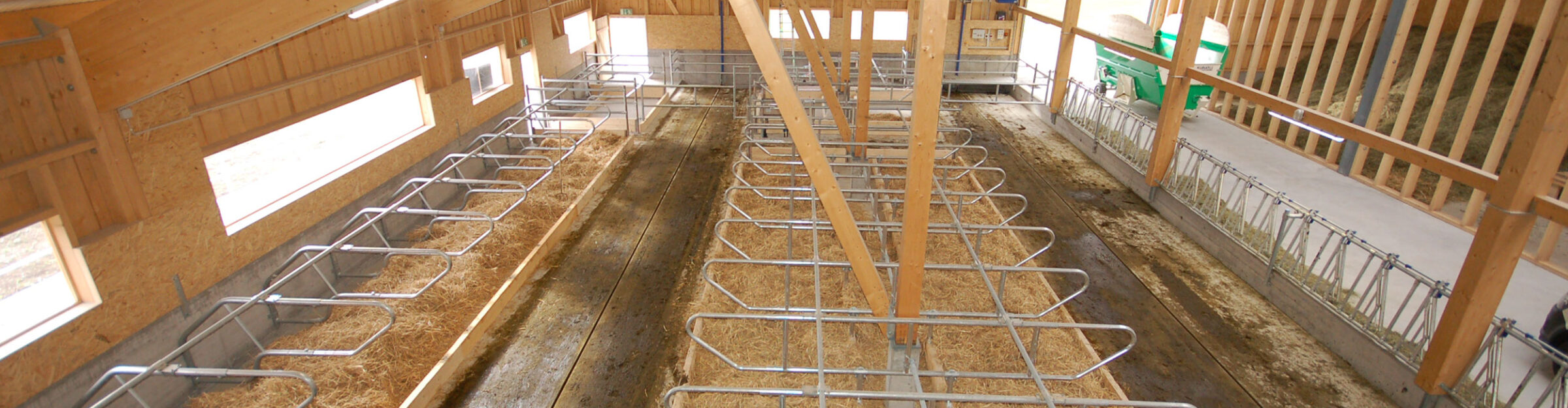 Laufstall mit Futterlagerung, Salouf GR