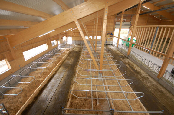 Laufstall mit Futterlagerung, Salouf GR