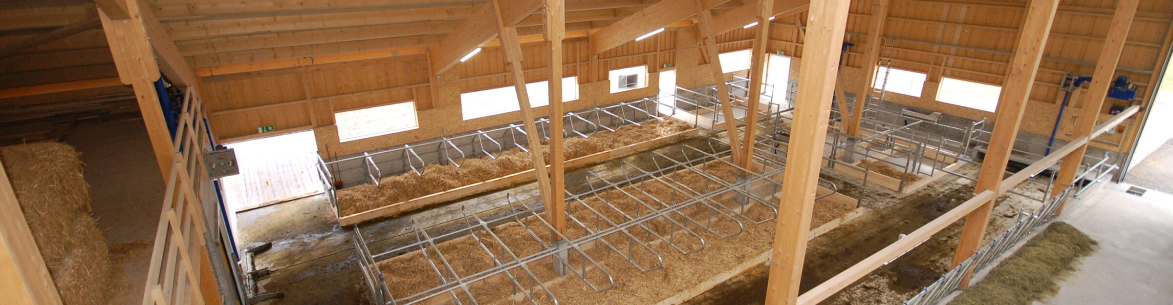 Laufstall mit Futterlagerung, Salouf GR