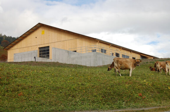 Laufstall mit Futterlagerung, Salouf GR