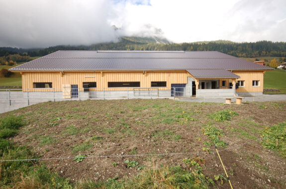 Laufstall mit Futterlagerung, Salouf GR