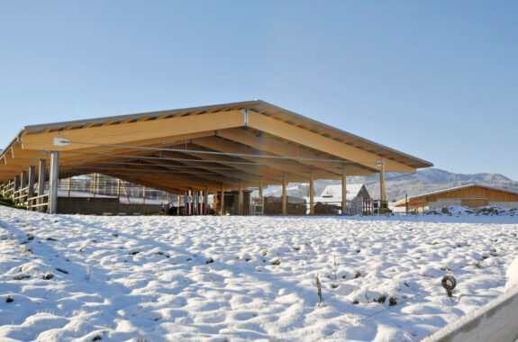 Pferdestall und Reitanlage, Alosen ZG