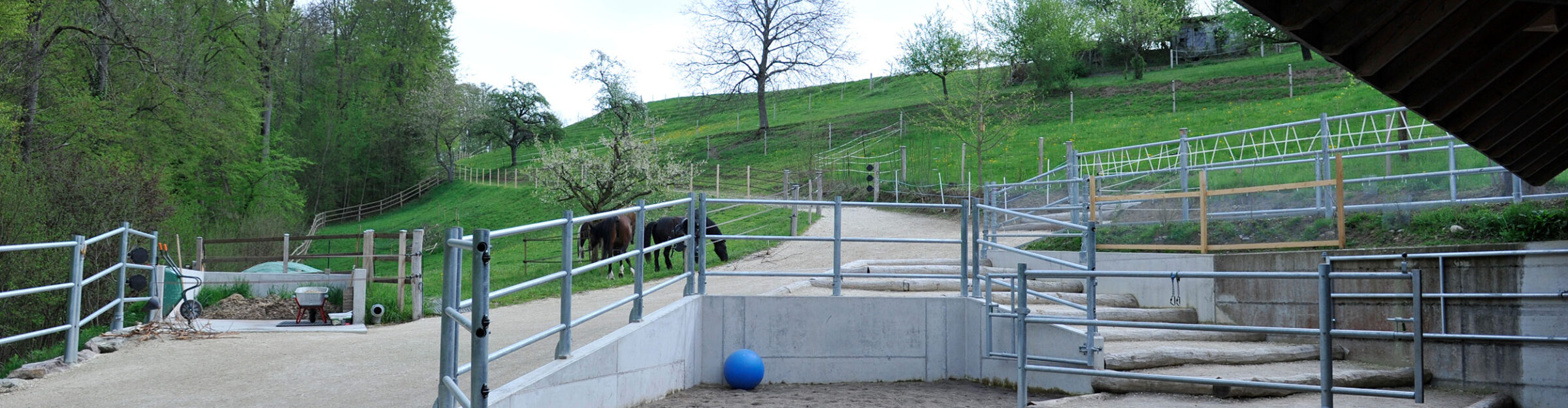 Pferdestall, Um- und Anbau, Seengen AG