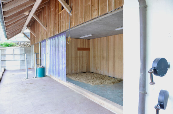 Pferdestall, Um- und Anbau, Seengen AG