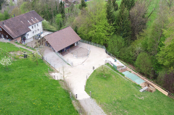 Pferdestall, Um- und Anbau, Seengen AG