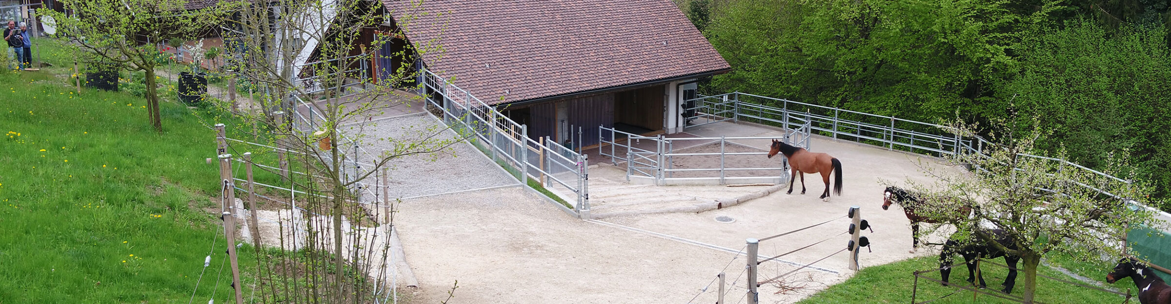 Pferdestall, Um- und Anbau, Seengen AG