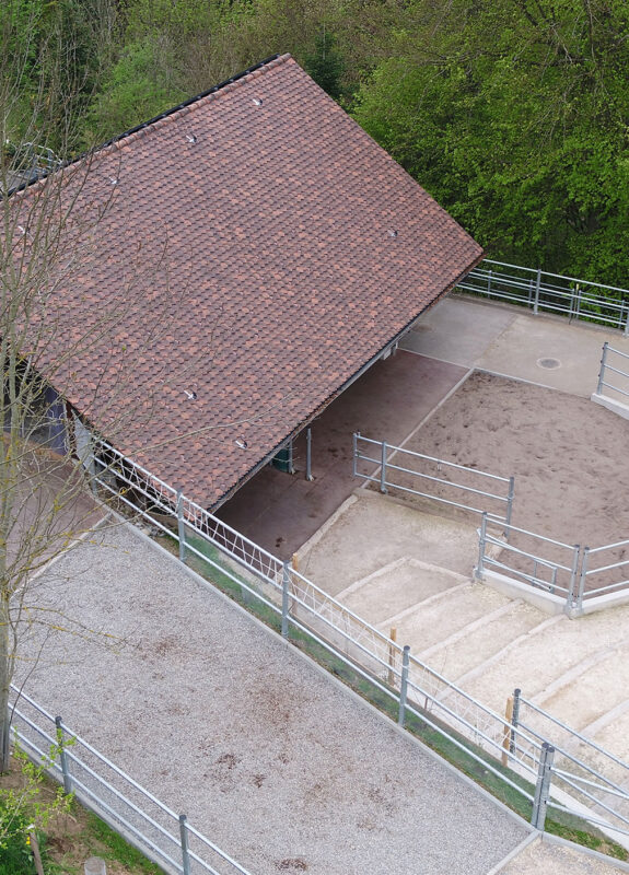 Pferdestall, Um- und Anbau, Seengen AG