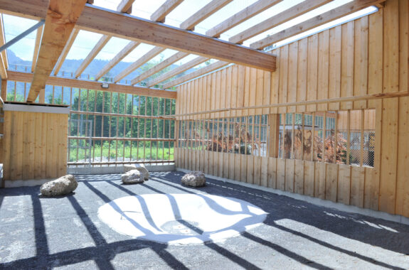 Bartgeier Zuchtstation, Anbau, Goldau SZ