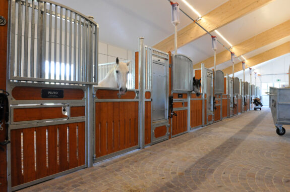 Pferdestall mit Remise, Rüti ZH