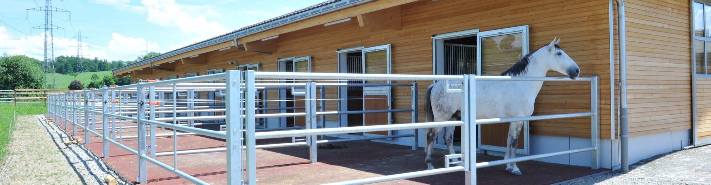 Pferdestall mit Remise, Rüti ZH