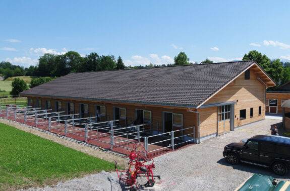 Pferdestall mit Remise, Rüti ZH