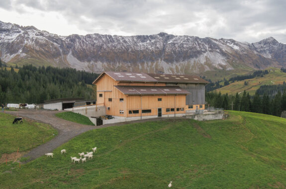 Mutterkuhstall, An- und Umbau, Sörenberg LU