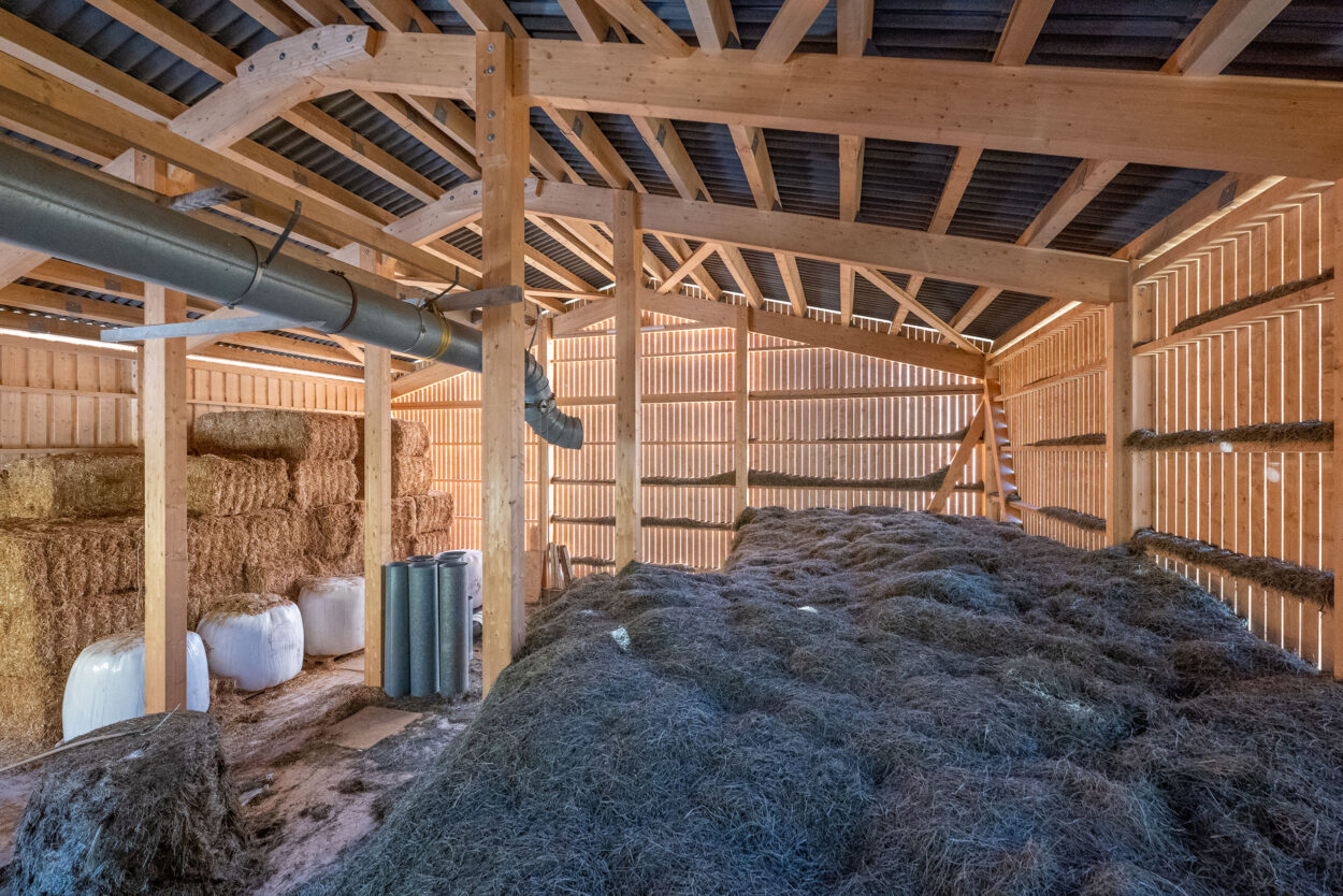 Schafstall mit Heulager, Sumvitg GR, Landwirtschaft Schafstall mit Heulager, Sumvitg GR, Landwirtschaft