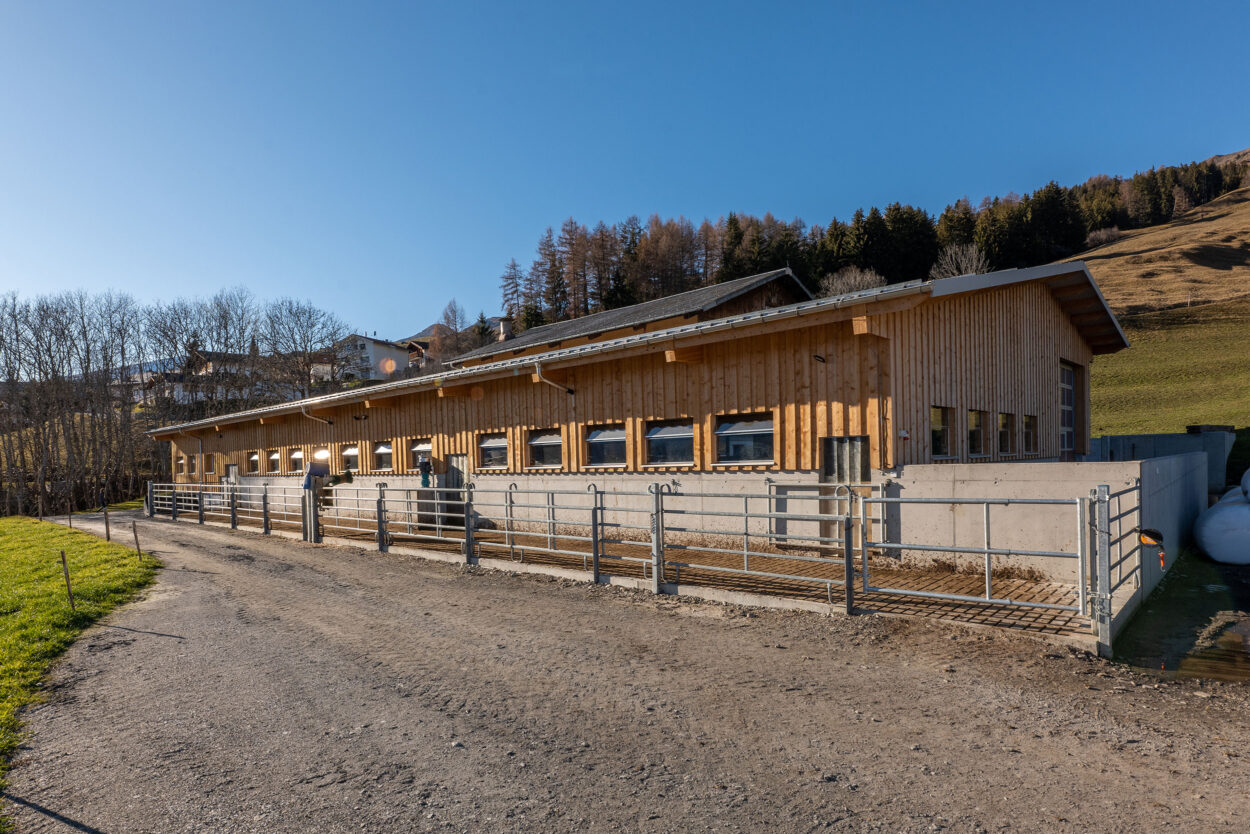 Milchviehstall, An- und Umbau, Vella GR, Landwirtschaft