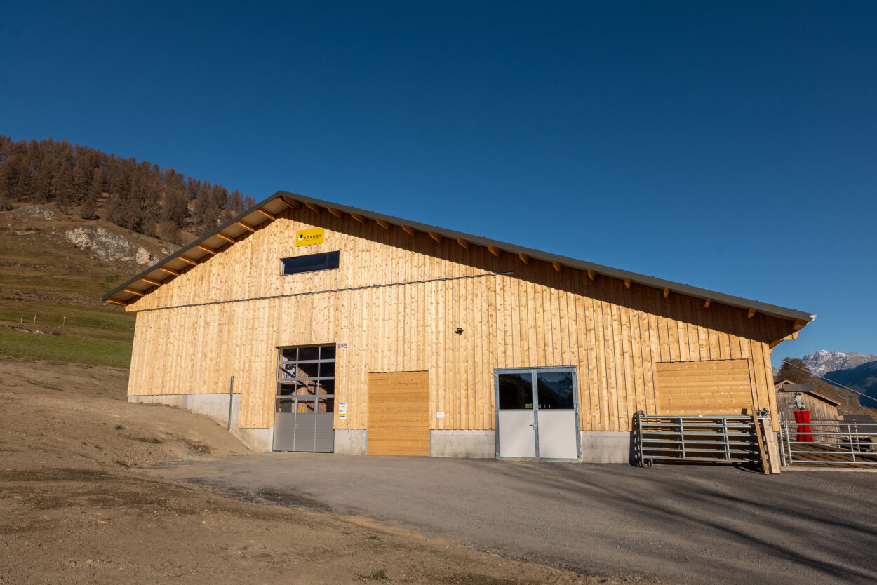 Mutterkuhstall mit Futterlager, Ardez GR, Landwirtschaft Mutterkuhstall mit Futterlager, Ardez GR, Landwirtschaft