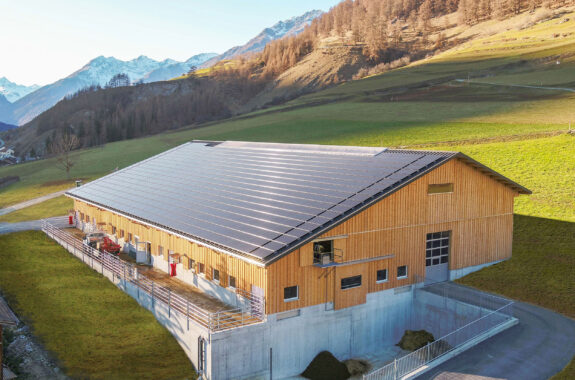 Mutterkuhstall mit Futterlager, Ardez GR, Landwirtschaft Mutterkuhstall mit Futterlager, Ardez GR