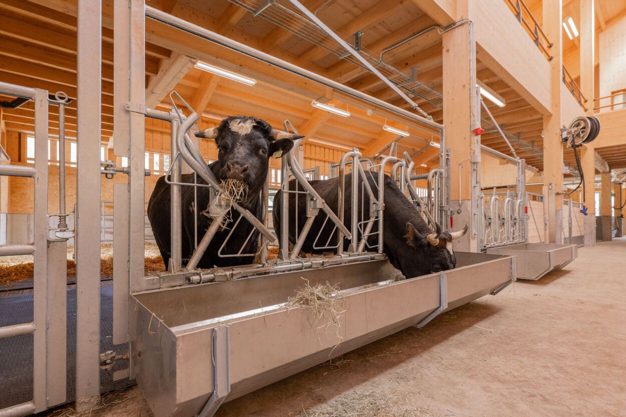 Ökonomiegebäude, Grosswijer-Hof Natur und Tierpark Goldau SZ, Landwirtschaft Ökonomiegebäude, Grosswijer-Hof Natur und Tierpark Goldau SZ, Landwirtschaft