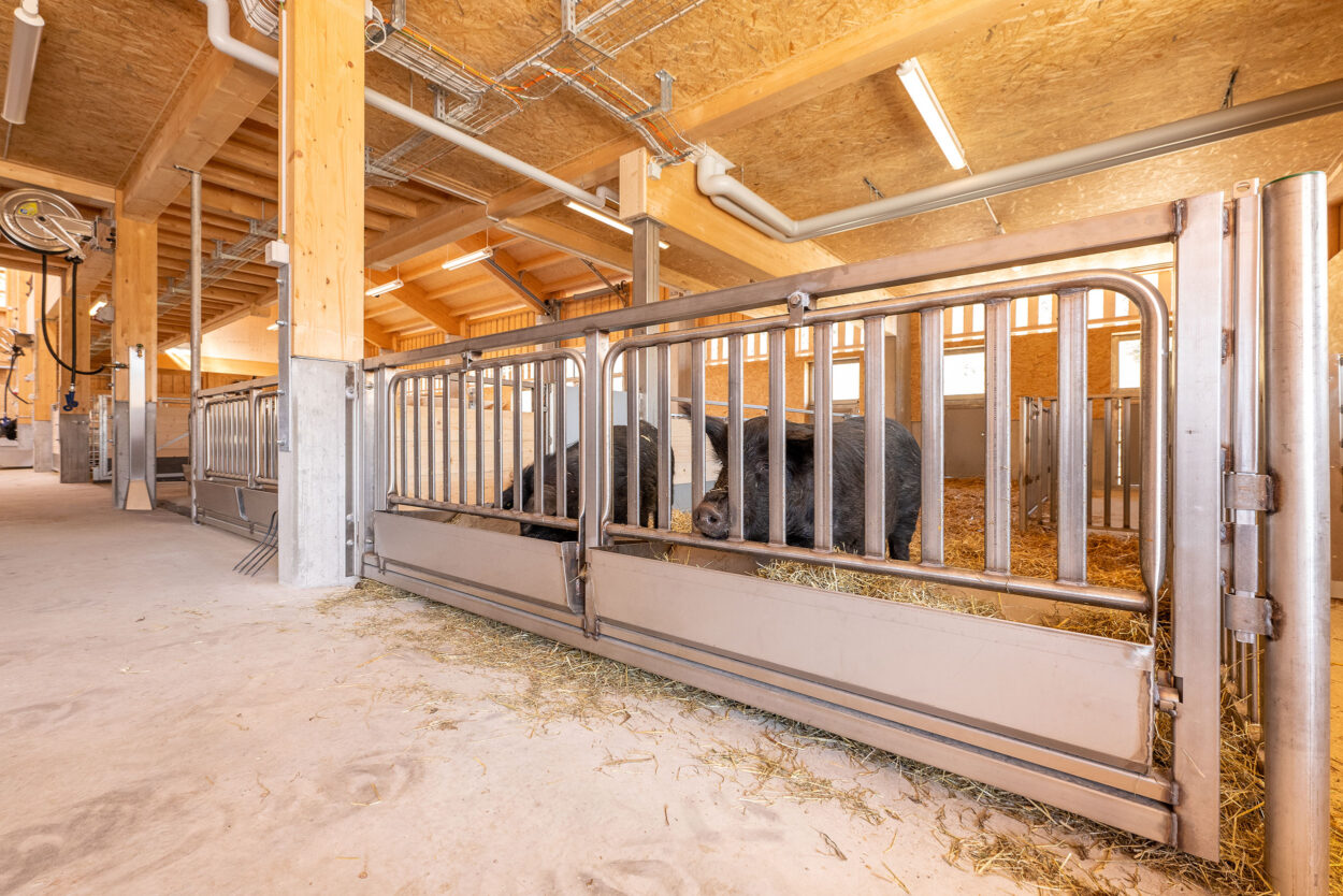 Ökonomiegebäude, Grosswijer-Hof Natur und Tierpark Goldau SZ, Landwirtschaft Ökonomiegebäude, Grosswijer-Hof Natur und Tierpark Goldau SZ, Landwirtschaft