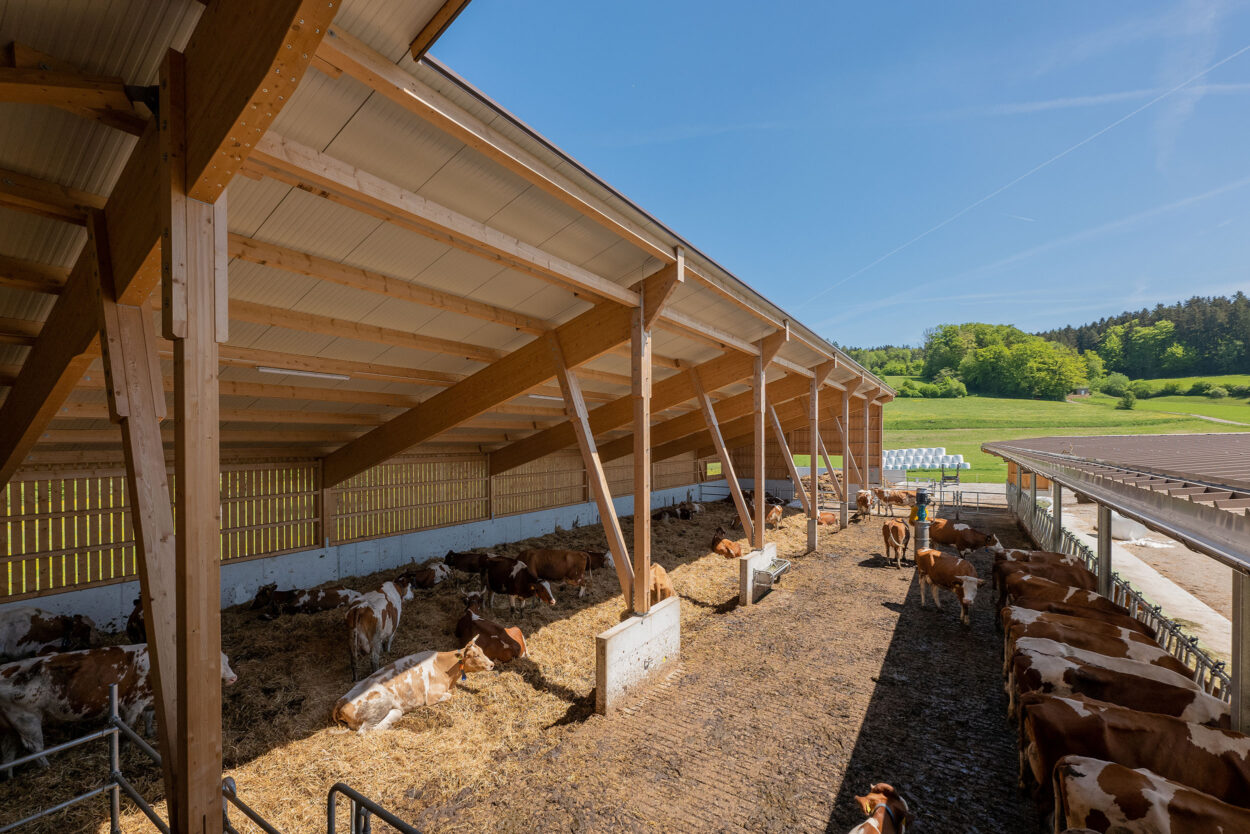 Milchviehstall, Tösstal ZH, Landwirtschaft Milchviehstall, Tösstal ZH, Landwirtschaft