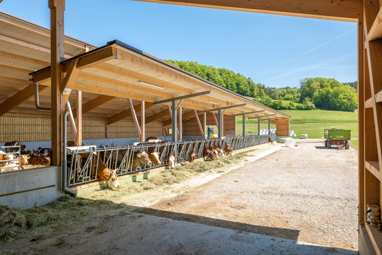 Milchviehstall, Tösstal ZH, Landwirtschaft Milchviehstall, Tösstal ZH, Landwirtschaft