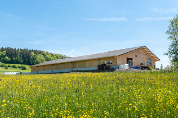 Milchviehstall, Tösstal ZH, Landwirtschaft Milchviehstall, Tösstal ZH