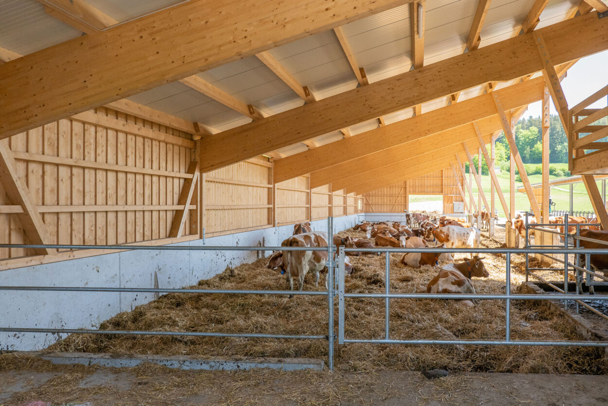 Milchviehstall, Tösstal ZH, Landwirtschaft Milchviehstall, Tösstal ZH, Landwirtschaft
