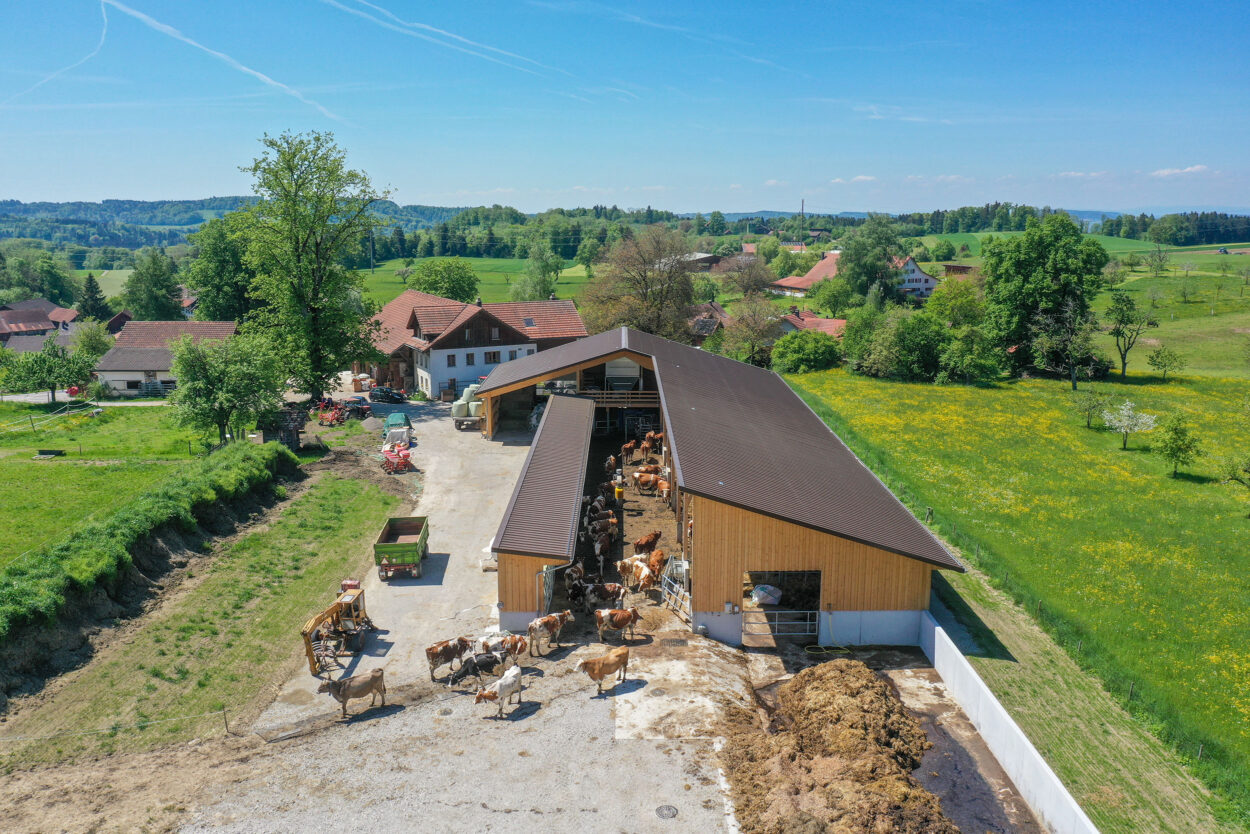 Milchviehstall, Tösstal ZH, Landwirtschaft Milchviehstall, Tösstal ZH, Landwirtschaft