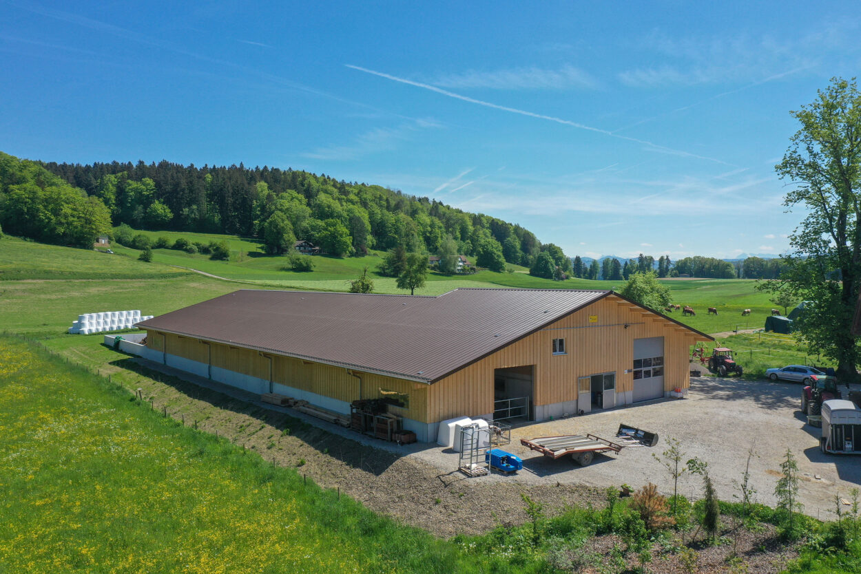 Milchviehstall, Tösstal ZH, Landwirtschaft Milchviehstall, Tösstal ZH, Landwirtschaft