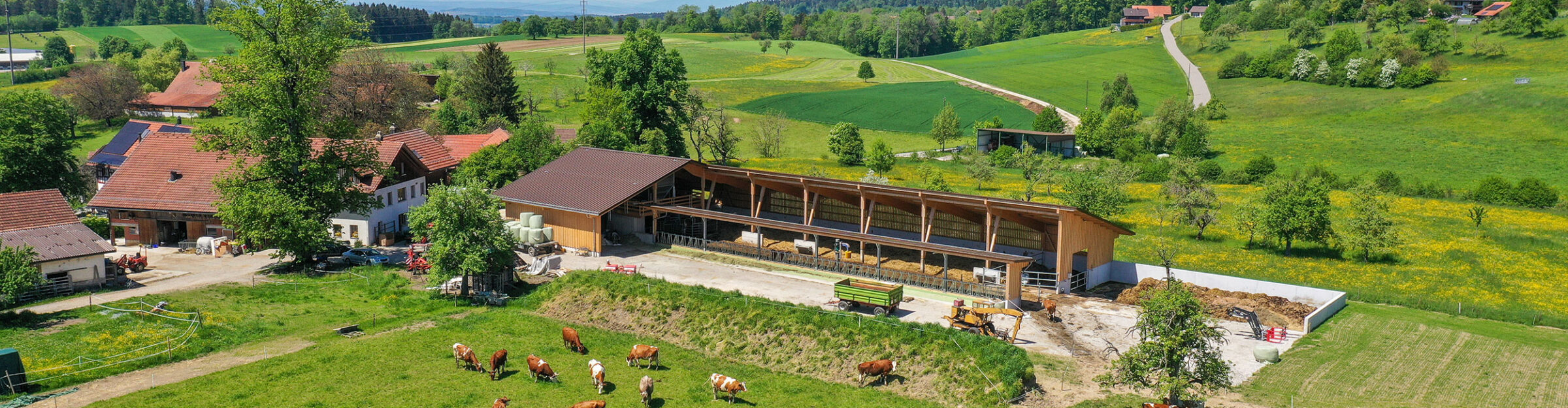 Milchviehstall, Tösstal ZH