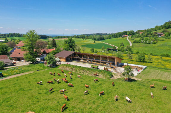 Milchviehstall, Tösstal ZH, Landwirtschaft Milchviehstall, Tösstal ZH