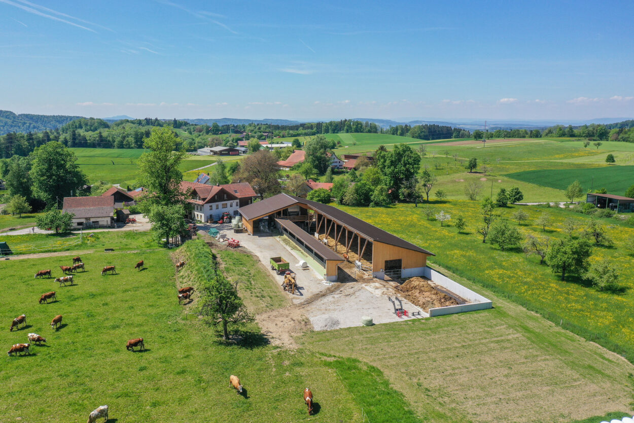 Milchviehstall, Tösstal ZH, Landwirtschaft Milchviehstall, Tösstal ZH, Landwirtschaft