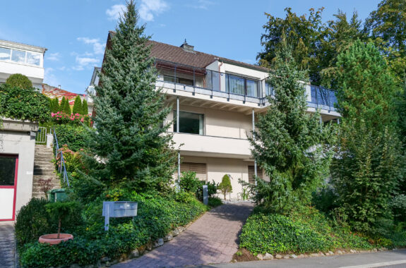 Einfamilienhaus, Umbau, Küssnacht am Rigi SZ