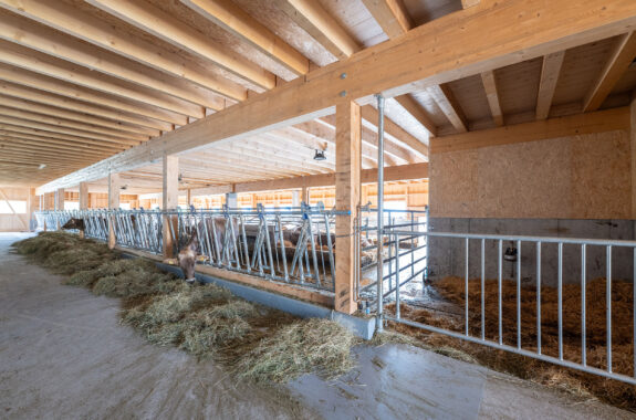 Milchviehstall mit Futterlagerung, Tschlin GR