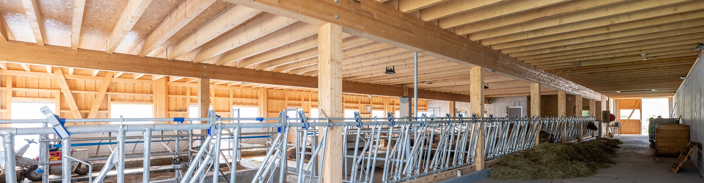 Milchviehstall mit Futterlagerung, Tschlin GR