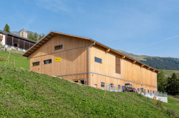 Milchviehstall mit Futterlagerung, Tschlin GR