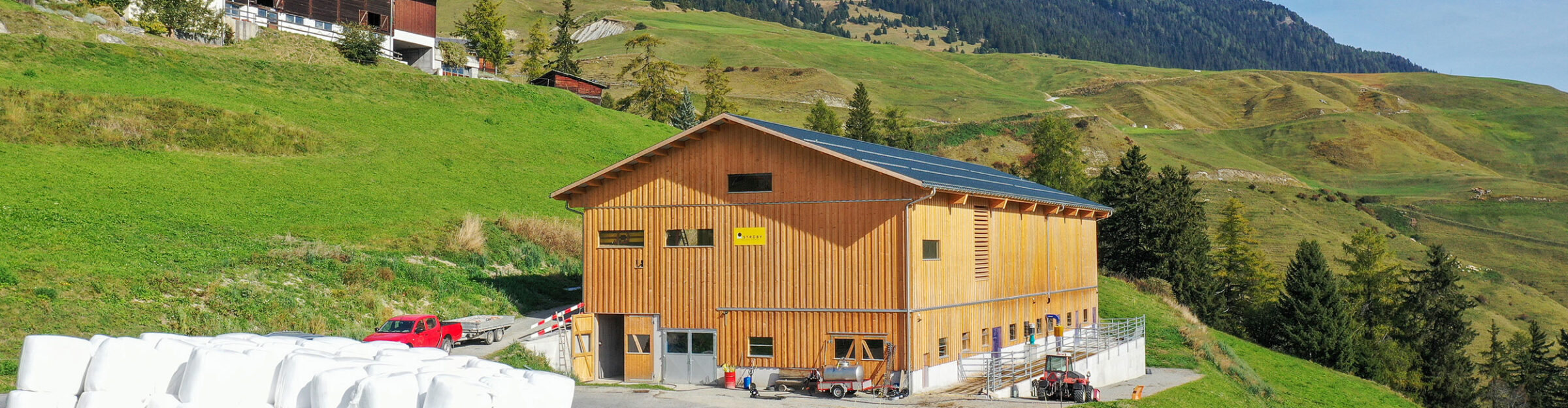 Milchviehstall mit Futterlagerung, Tschlin GR