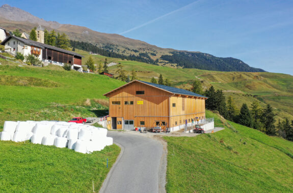 Milchviehstall mit Futterlagerung, Tschlin GR