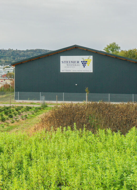 Weinproduktionshalle, Steimer Weinbau, Wettingen AG